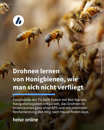 Das Bild zeigt mehrere Bienen auf dem Weg zu ihrem Stock. Im Bild steht: "Drohnen lernen 
von Honigbienen, wie 
man sich nicht verfliegt". Darunter steht: "Forschende der TU Delft haben mit Bee-Nav ein Navigationssystem entwickelt, das Drohnen in Innenräumen ganz ohne GPS und mit minimaler Rechenleistung den Weg nach Hause finden lässt."