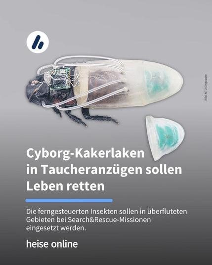 Im Bild sieht man eine Cyborg-Kakerlake in einem Taucheranzug. Der Sauerstoff-Generator befindet sich im hinteren Teil des Anzugs. Im Bild steht: "Cyborg-Kakerlaken in Taucheranzügen sollen Leben retten" darunter steht: "Die ferngesteuerten Insekten sollen in überfluteten Gebieten bei Search&Rescue-Missionen eingesetzt werden."
