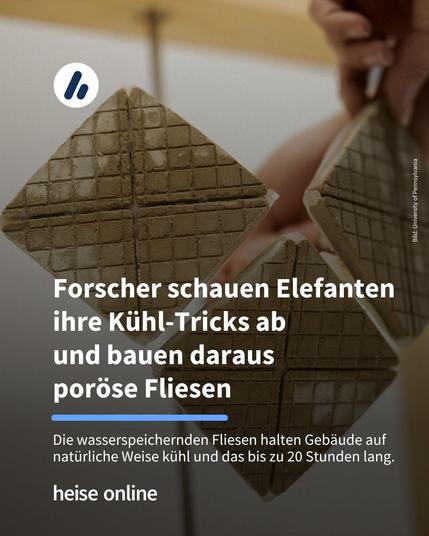 Auf dem Bild sieht man drei Fliesen von der Unterseite. Im Bild steht: "Forscher schauen Elefanten ihre Kühl-Tricks ab 
und bauen daraus 
poröse Fliesen" darunter steht: "Die wasserspeichernden Fliesen halten Gebäude auf natürliche Weise kühl und das bis zu 20 Stunden lang."