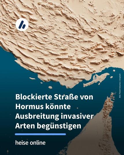 Das Bild zeigt eine Grafik der Straße von Hormus. Im Bild steht: "Blockierte Straße von Hormus könnte Ausbreitung invasiver Arten begünstigen"